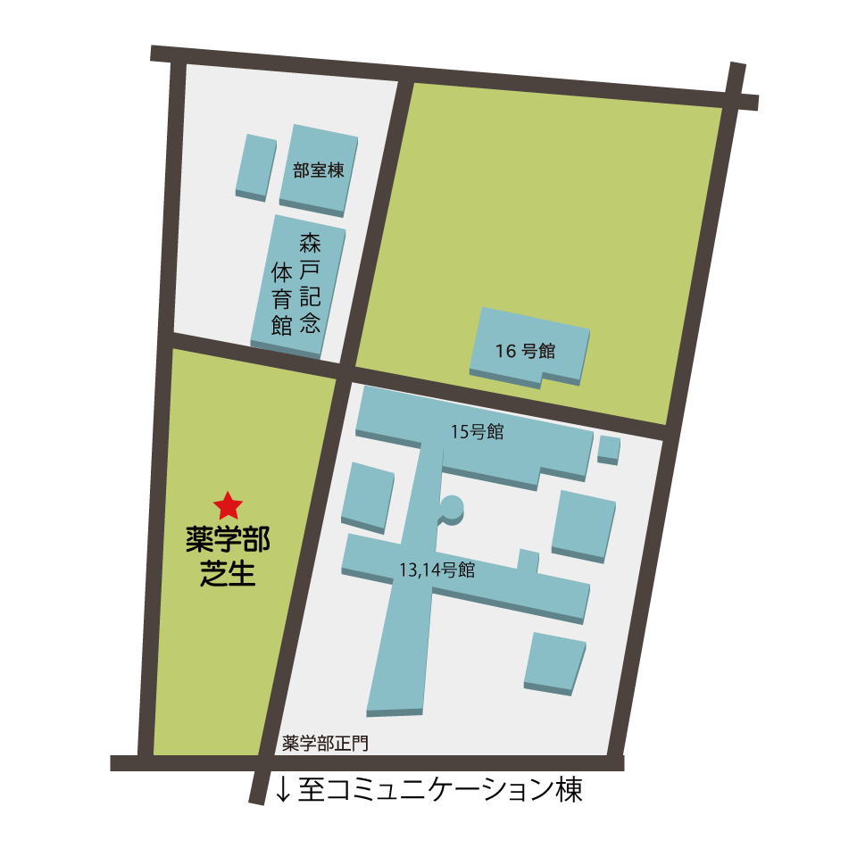 薬学部芝生までの地図